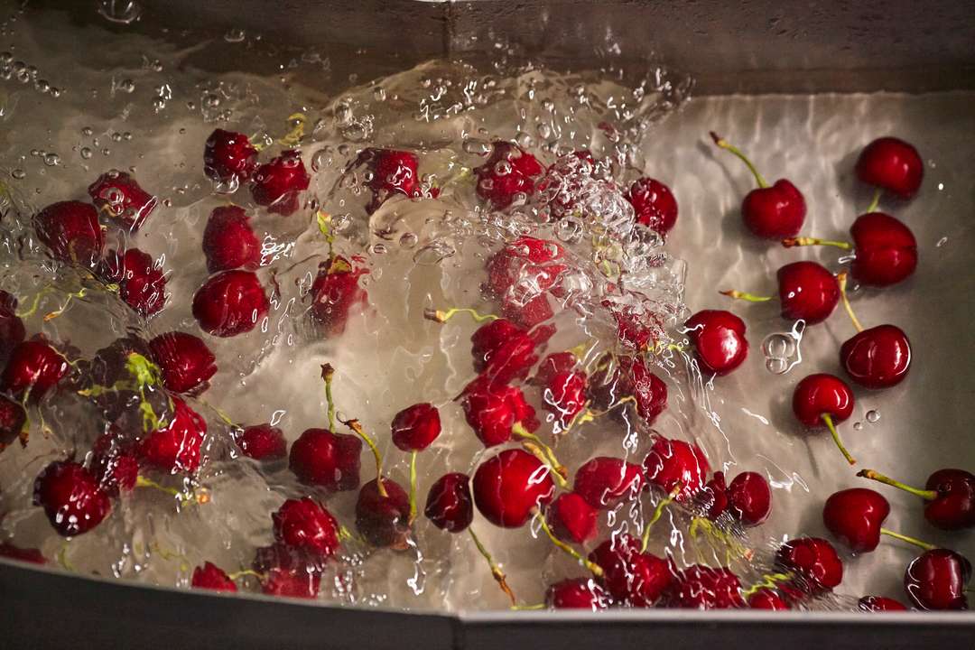Cerezas en el agua de lavado de una línea de procesado hortofrutícola